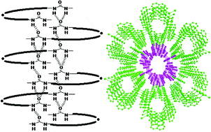 Graphical abstract: Hydrogen-bonded 1D nanotubes and 2D layers of group 12 metal complexes with a pyridylurea ligand