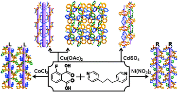 Graphical abstract: Architectures of transition metal(ii) polymeric frameworks constructed from 3- fluorophthalic acid and 1,3-bis(4-pyridyl)propane: synthesis, crystal structures and properties