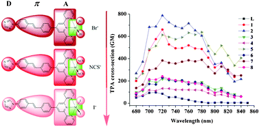 Graphical abstract: A new 2,2′:6′,2′′-terpyridine-based ligand and its complexes: structures, photophysical properties and DFT calculations to evaluate the halogen effect on the TPA