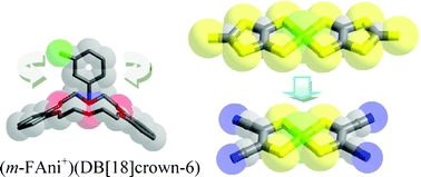 Graphical abstract: Cation–anion packing and molecular motion in (m-fluoroanilinium)(dibenzo[18]crown-6)[Ni(mnt)2]−(CH3CN)0.25 crystals