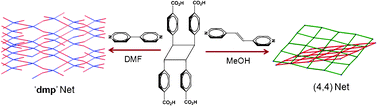 Graphical abstract: Co-crystals of tetrakis-1,2,3,4-(4′-carboxyphenyl)cyclobutane with dipyridyl spacers: design and serendipity