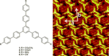 Graphical abstract: Synthesis and 2D self-assembly at the liquid-solid interface of end-substituted star-shaped oligophenylenes