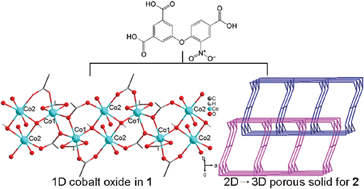 Graphical abstract: Two topologically new trinodal cobalt(ii) metal–organic frameworks characterized as a 1D metallic oxide and a 2D → 3D penetrated porous solid