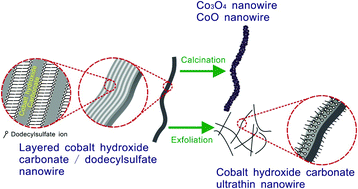 Graphical abstract: Synthesis and magnetic property of cobalt hydroxide carbonate and cobalt oxide nanowires