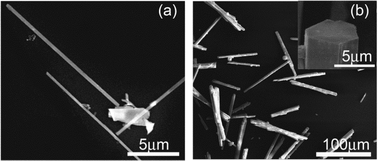 Graphical abstract: Potassium element modulation of optical and electrical properties of the quasi-one-dimensional KxBi1−xFeO3−y system