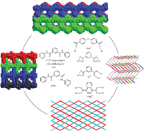 Graphical abstract: Carboxylate-assisted acylamide metal–organic frameworks: synthesis, structure, thermostability and luminescence studies