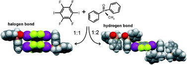 Graphical abstract: Switching between halogen- and hydrogen-bonding in stoichiometric variations of a cocrystal of a phosphine oxide