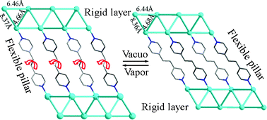 Graphical abstract: A novel metal–organic framework displaying reversibly shrinking and expanding pore modulation