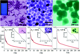 Graphical abstract: Morphology-controlled synthesis of anisotropic wurtzite MnSe nanocrystals: optical and magnetic properties