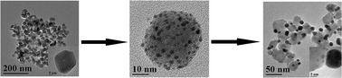 Graphical abstract: In situ growth of Au nanoparticles on Fe2O3 nanocrystals for catalytic applications