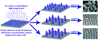 Graphical abstract: Synthesis, photoluminescence and field emission properties of well aligned/well patterned conical shape GaN nanorods