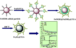 Graphical abstract: Novel complex-coprecipitation route to form high quality triethanolamine-coated Fe3O4 nanocrystals: Their high saturation magnetizations and excellent water treatment properties