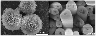 Graphical abstract: An obvious rolling process in the synthesis of Y2O3:Eu3+ micro-urchins built from nanoscrolls