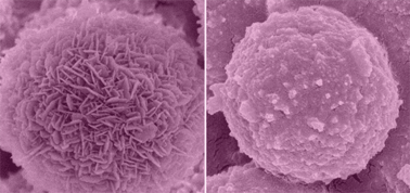 Graphical abstract: Self-assembled 3D architectures of NaCe(MoO4)2 and their application as absorbents