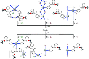 Graphical abstract: Influence of ligand substituent on structural assembly and coordination geometry