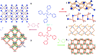 Graphical abstract: Variable architectures of Zinc coordination polymers modeled by tetra-pyridine ligands with different anions