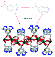 Graphical abstract: 2D lanthanide–organic frameworks constructed from lanthanide acetate skeletons and benzotriazole-5-carboxylic acid connectors: synthesis, structure, luminescence and magnetic properties