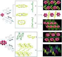 Graphical abstract: A series of POM/Ag-based hybrids: distinct forms and assembly of [AgxLy] complexes through combinational effects of POM and isomeric ligands