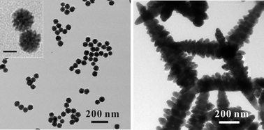 Graphical abstract: Precursor-dependent shape variation of wurtzite CdSe crystals in a microwave-assisted polyol process