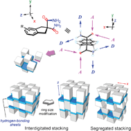 Graphical abstract: Assembly of robust two-dimensional sheet structures from crystalline ring-fused malonamides via cooperative hydrogen bonding of amide groups