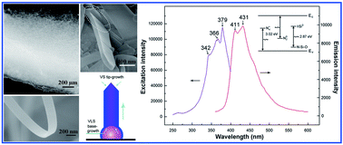 Graphical abstract: Catalyst-assisted synthesis and growth mechanism of ultra-long single crystal α-Si3N4 nanobelts with strong violet–blue luminescent properties