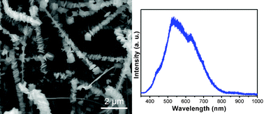 Graphical abstract: Fabrication of ZnS/SnO nanowire/nanosheet hierarchical nanoheterostructure and its photoluminescence properties