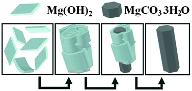 Graphical abstract: The “jump of size” phenomenon in aqueous-nanoparticle reaction system: phase transformation from nano-Mg(OH)2 to bulk MgCO3·3H2O