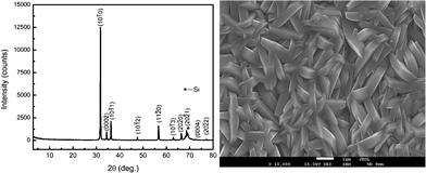 Graphical abstract: A novel approach for controlled oriented growth of non-polar m-plane ZnO thin films via low temperature chemical solution route