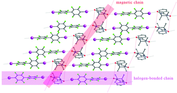 Graphical abstract: One-dimensional organization of free radicals via halogen bonding