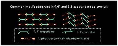 Graphical abstract: Interdependence of structure and physical properties in co-crystals of azopyridines