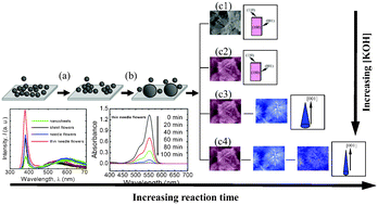 Graphical abstract: Morphology-controlled synthesis of ZnO 3D hierarchical structures and their photocatalytic performance