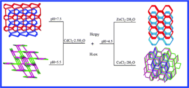 Graphical abstract: Effect of pH/metal ion on the structure of metal–organic frameworks based on novel bifunctionalized ligand 4′-carboxy-4,2′:6′,4′′-terpyridine