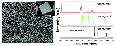 Graphical abstract: Cubic GdFeO3 particle by a simple hydrothermal synthesis route and its photoluminescence and magnetic properties