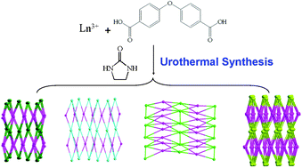 Graphical abstract: Urothermal synthesis of photoluminescent lanthanide–organic frameworks with unusual topologies