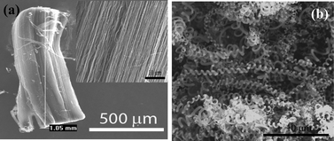 Graphical abstract: Large scale synthesis of ultralong aligned buckled multiwalled carbon nanotubes by one-step pyrolysis