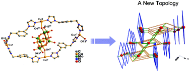 Graphical abstract: A new topology constructed from an octamolybdate and metallomacrocycle coordination complex