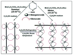 Graphical abstract: Formation of two drastically different MOFs based on Mn(ii)–benzoate and pyrazine with a change in seasonal temperature: structural analysis and magnetic study