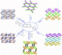 Graphical abstract: Construction of diverse CdII/ZnII coordination polymers based on 5-(quinolyl)tetrazolate generated via in situ hydrothermal synthesis