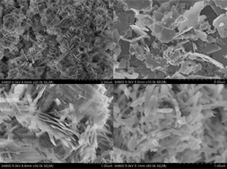 Graphical abstract: Shape-controlled hydrothermal synthesis of ferroelectric Bi4Ti3O12 nanostructures