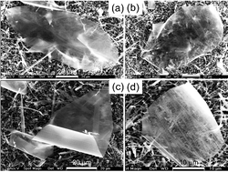 Graphical abstract: Non-layered wurtzite-type extralarge-area flexible ZnO (01 [[1 with combining macron]] 0) paper-like nanostructures grown by electrostatically induced vapor-phase transport