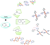 Graphical abstract: Comprehensive studies of non-covalent interactions within four new Cu(ii) supramolecules