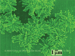 Graphical abstract: LaPO4:Eu microstructures constructed by nanorods with triangular pores in the ends: a simple mixed-solvothermal synthesis, growth mechanism and optical property