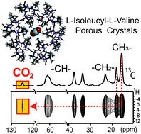 Graphical abstract: Porous dipeptide crystals as selective CO2 adsorbents: experimental isotherms vs. grand canonical Monte Carlo simulations and MAS NMR spectroscopy