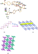 Graphical abstract: Syntheses, characterizations and properties of five new metal–organic complexes based on flexible ligand 4,4′-(phenylazanediyl)dibenzoic acid