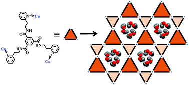 Graphical abstract: Construction of kagome-type networks via tridentate ligand: structural properties as alcohol reservoir