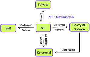 Graphical abstract: The solvates and salt of antibiotic agent, nitrofurantoin: structural, thermochemical and desolvation studies