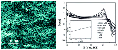 Graphical abstract: Synthesis and characterization of manganese vanadate nanorods as glassy carbon electrode modified materials for the determination of l-cysteine