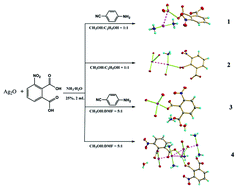 Graphical abstract: Structural diversity of Ag/3-nitrophthalate coordination polymers controlled by solvent and induction agent