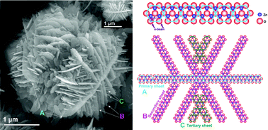 Graphical abstract: Rapid room-temperature synthesis of nanosheet-assembled ZnO mesocrystals with excellent photocatalytic activity