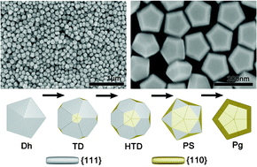Graphical abstract: Five-fold twinned pentagonal gold nanocrystal structure exclusively bounded by {110} facets
